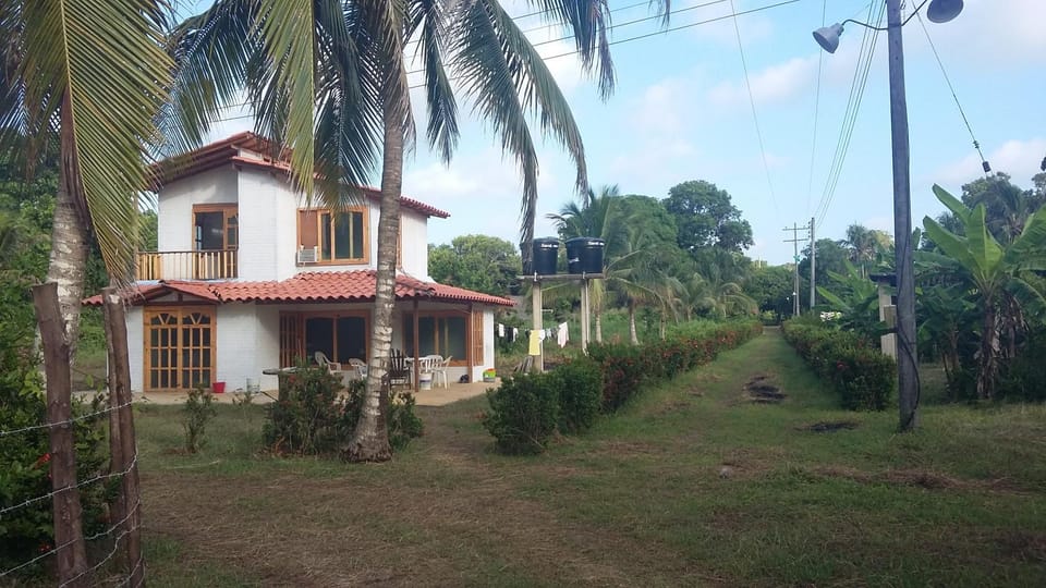 Property building, Garden view