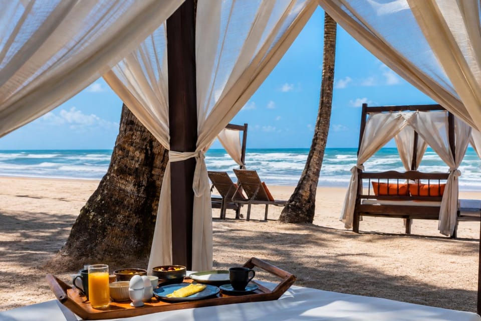 View (from property/room), Sea view, sunbed