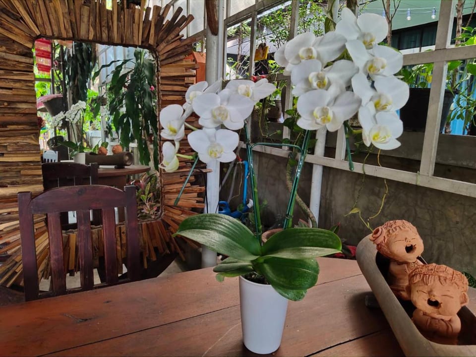 Patio, Internal: Not applicable to any particular room