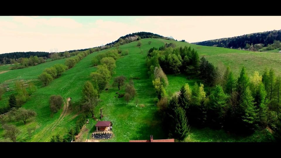 Bird's eye view, Garden, Mountain view