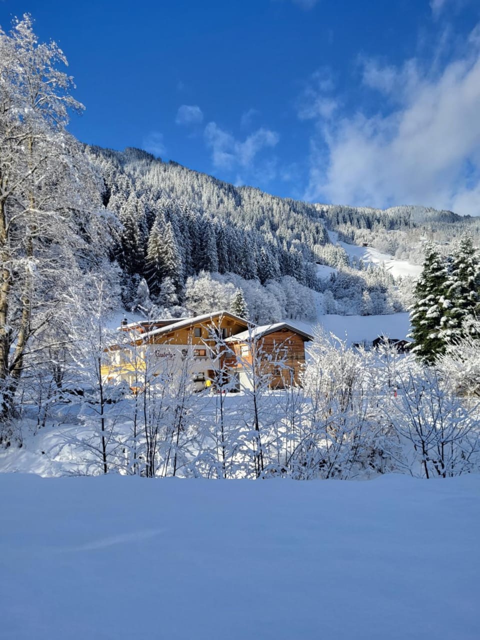 Property building, Off site, Day, Natural landscape, Winter, Ski School, Skiing, View (from property/room), Mountain view, River view, Location, Family, Parking