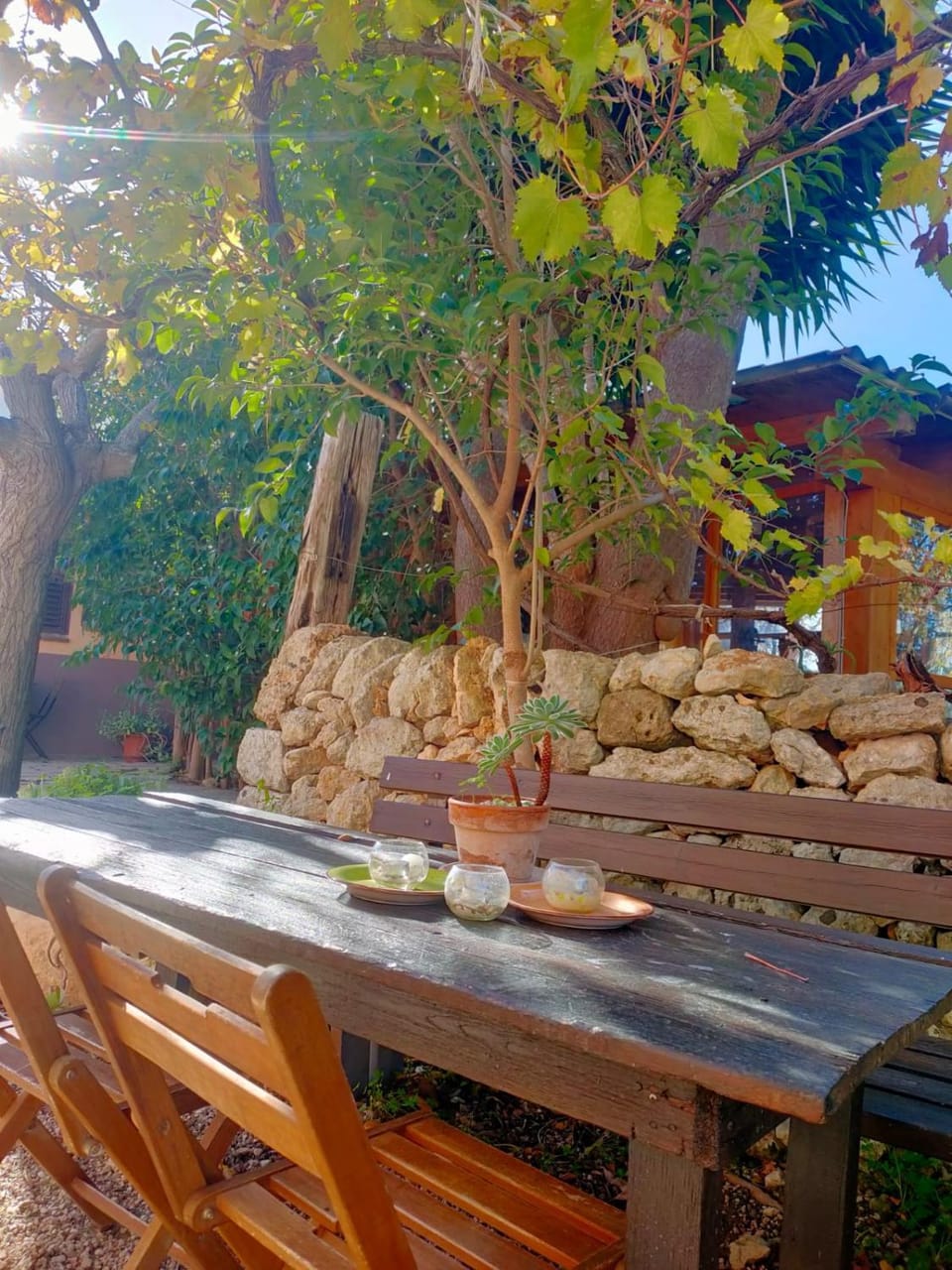 Day, Dining area, Garden view