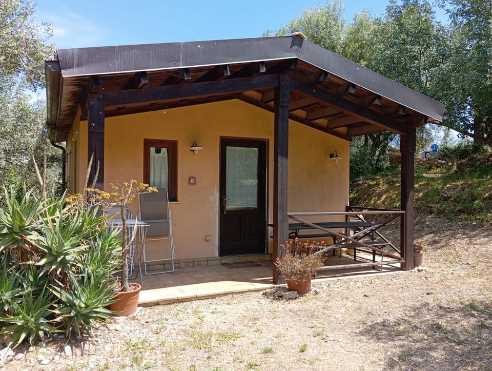 Property building, Patio, Garden