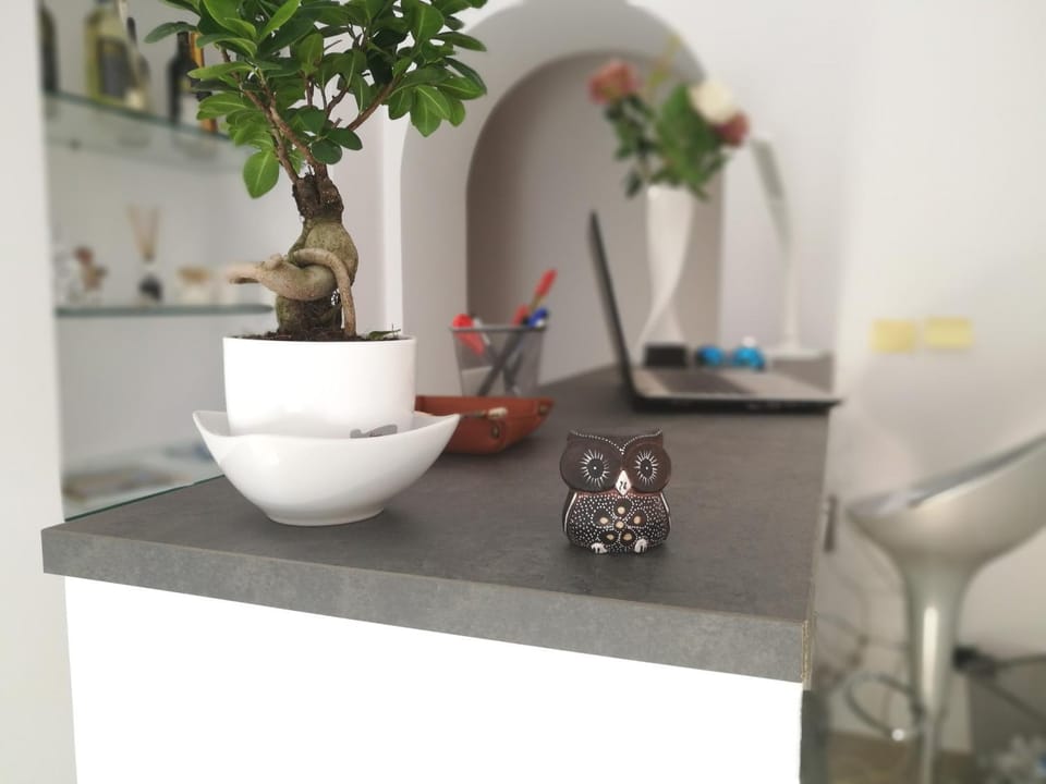 Spring, Winter, Summer, Coffee/tea facilities, Autumn, On site