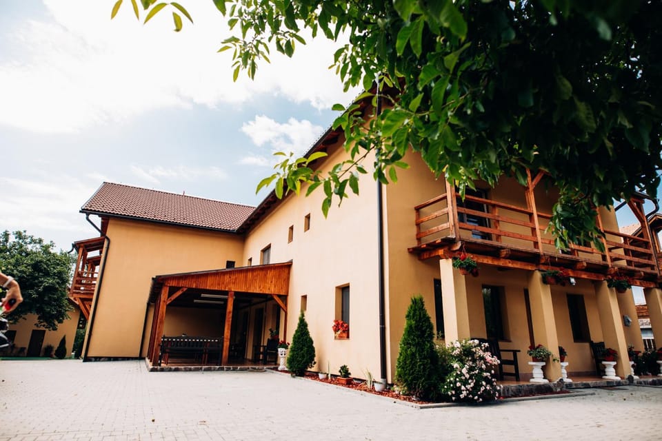 Iris 2 Bed and Breakfast in Romania