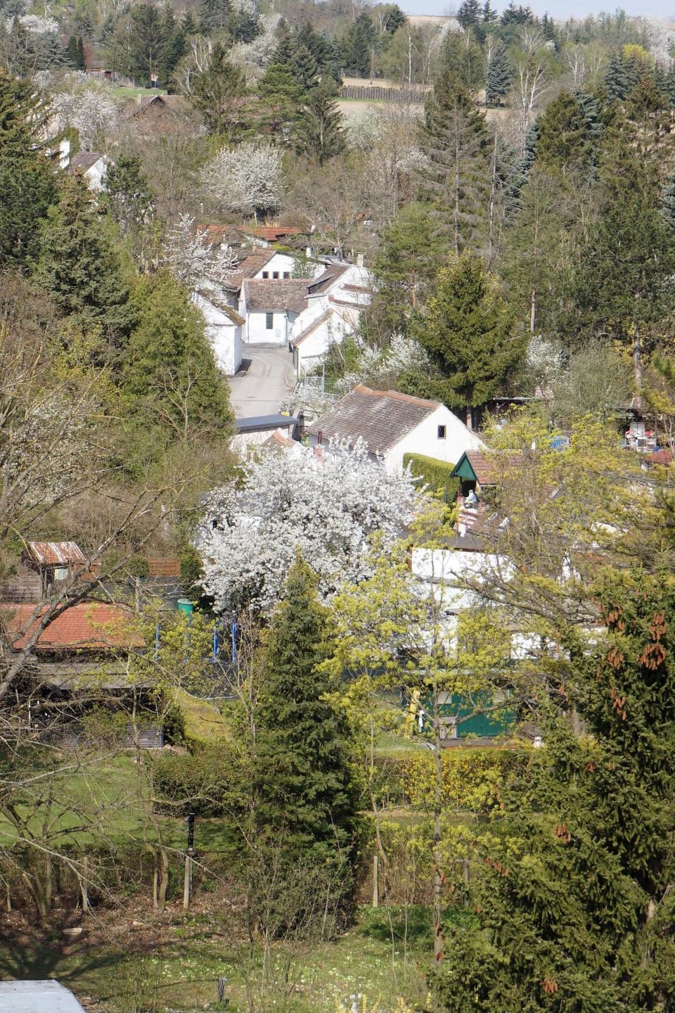 View (from property/room), View (from property/room)