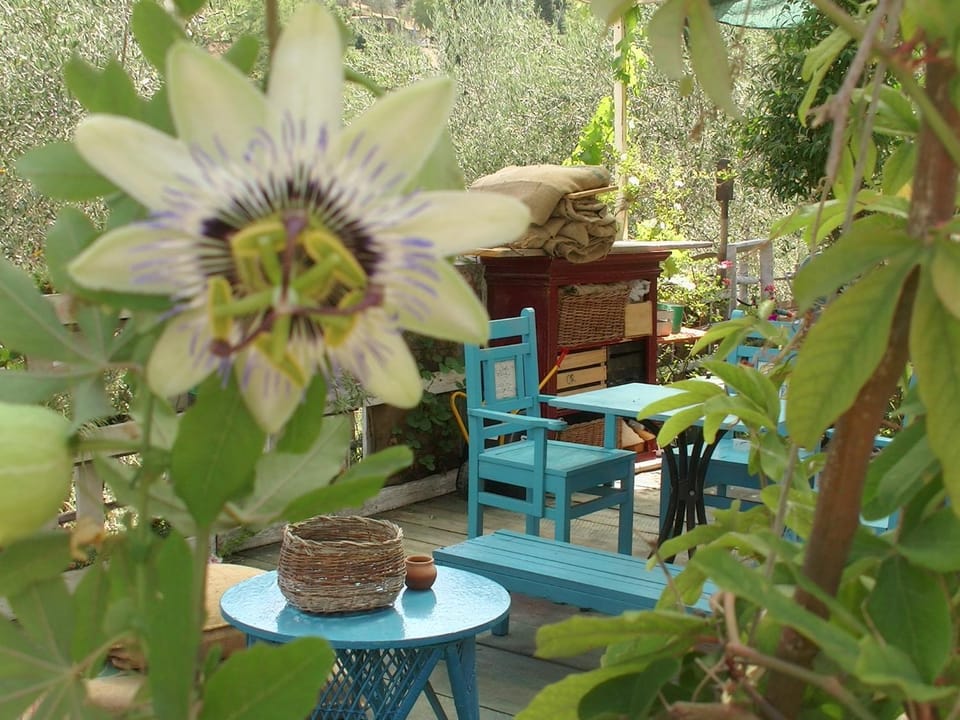 casa al colle House in Lucca