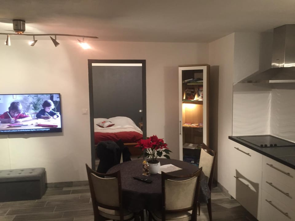 Le Gite du Pont Apartment in Ribeauvillé