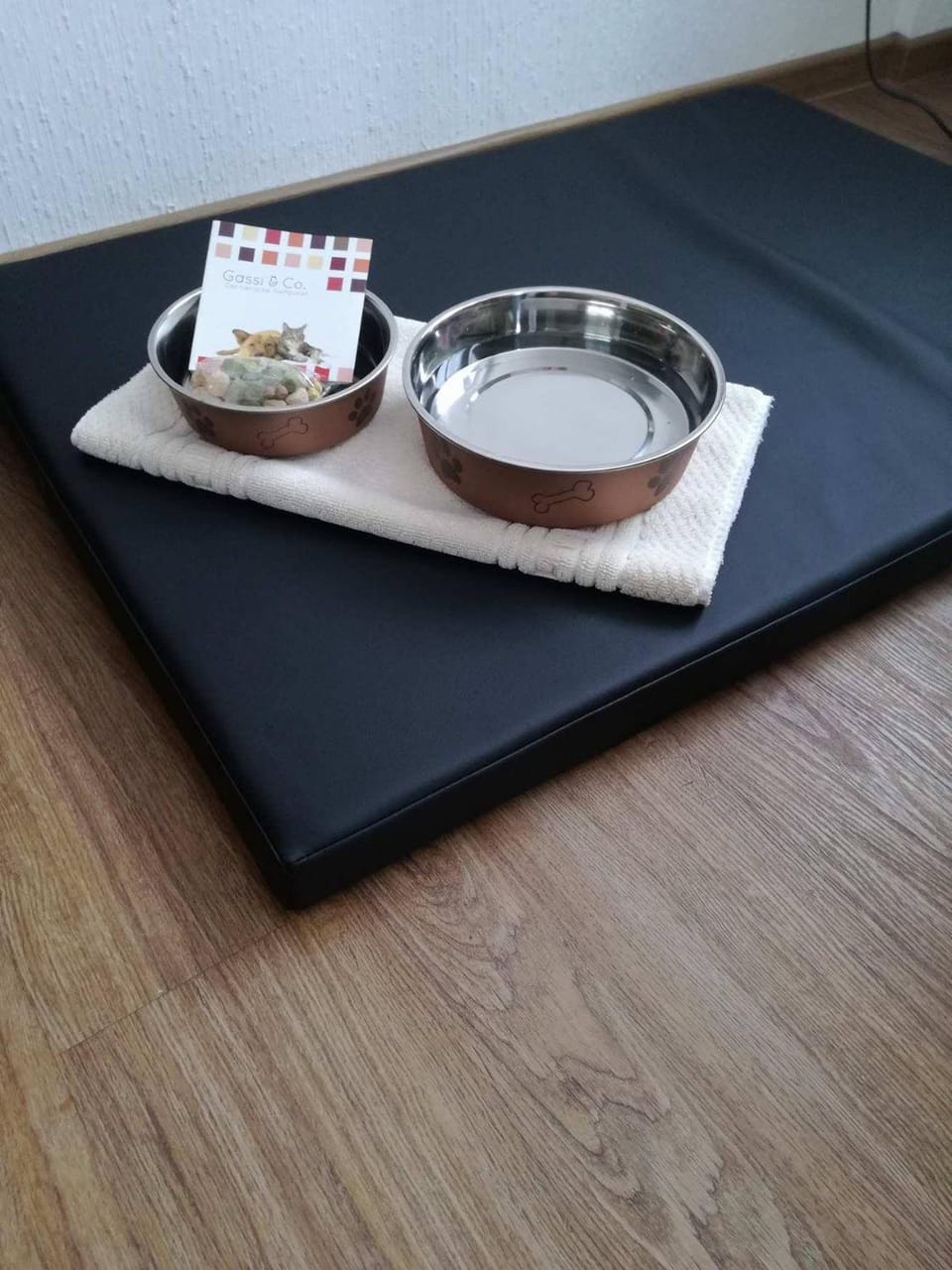 Pets, Pets, Pets, pet friendly, pet friendly