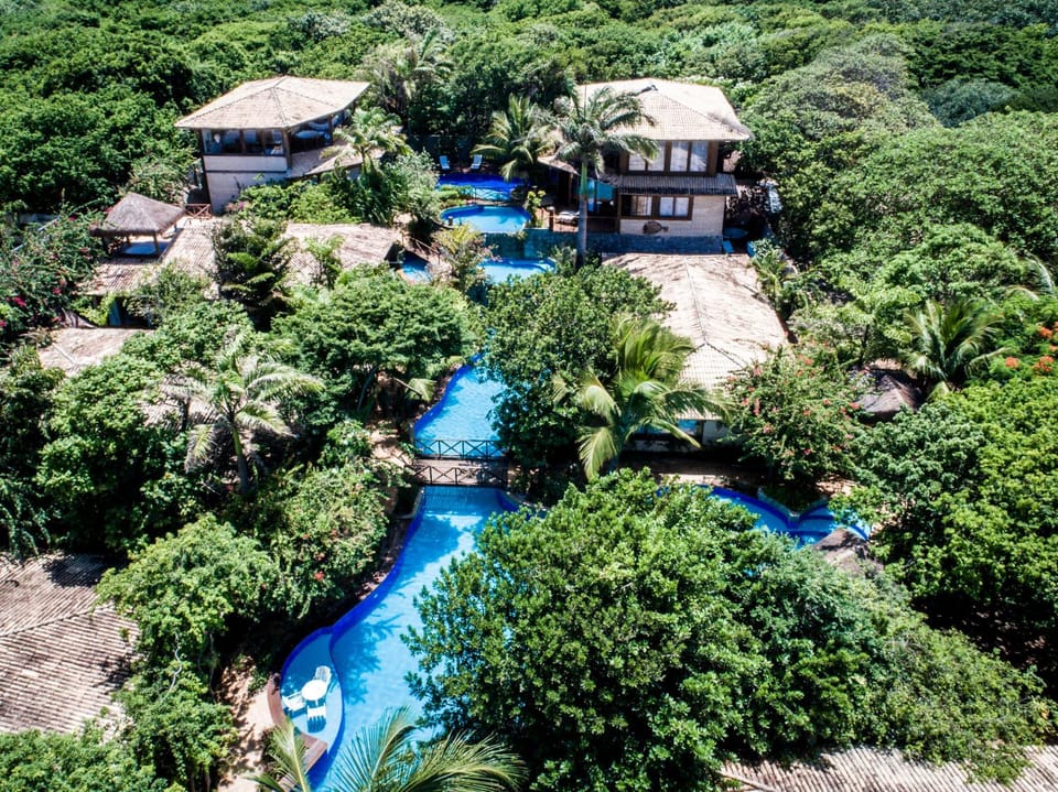 Bird's eye view, Garden, Swimming pool