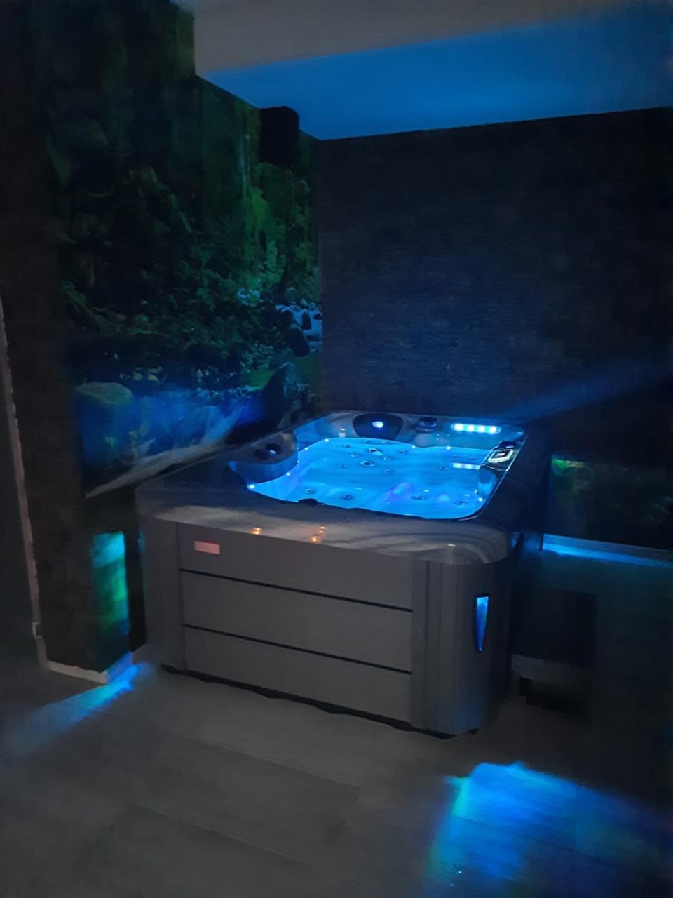 Hot Tub, Sauna, Spa and wellness centre/facilities
