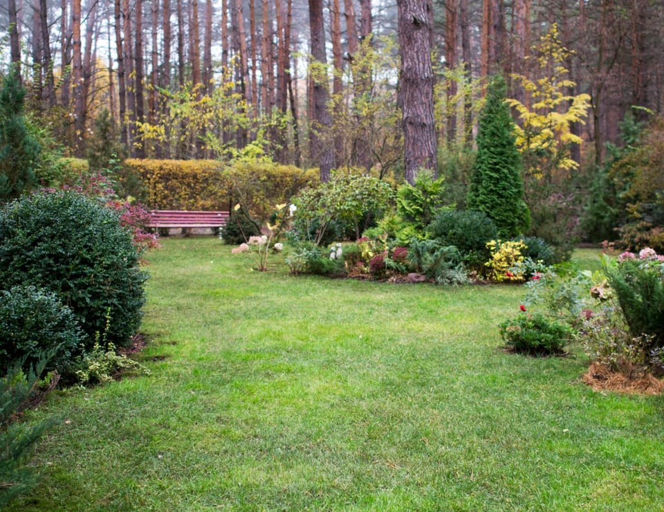 Natural landscape, Autumn