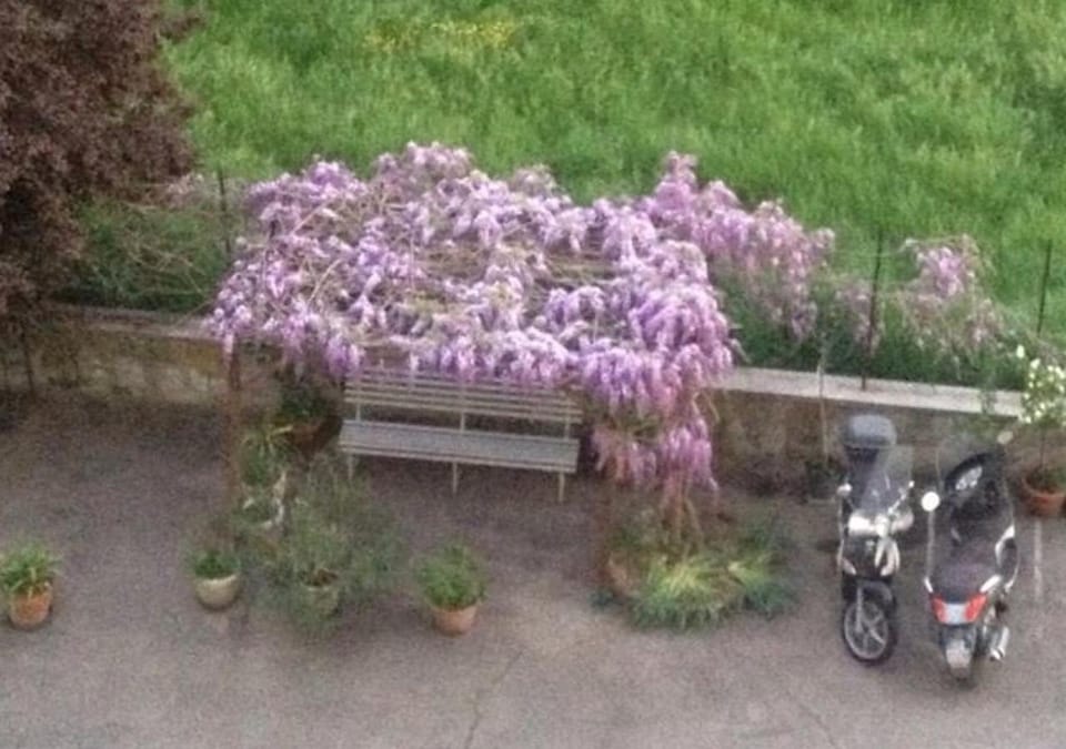 Neighbourhood, Natural landscape