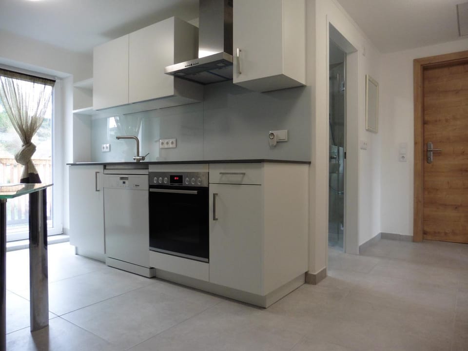 Kitchen or kitchenette, dishwasher, oven, stove, kitchen