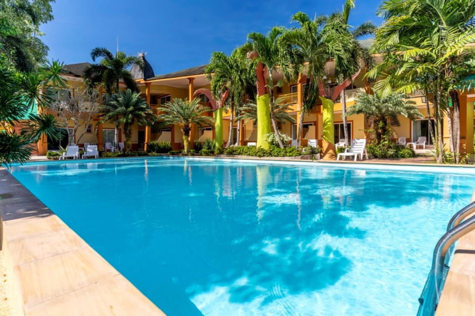 Swimming pool, Swimming pool