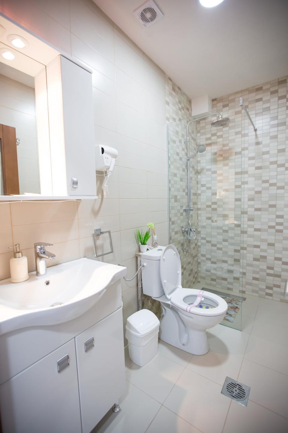 Shower, Toilet, Bathroom