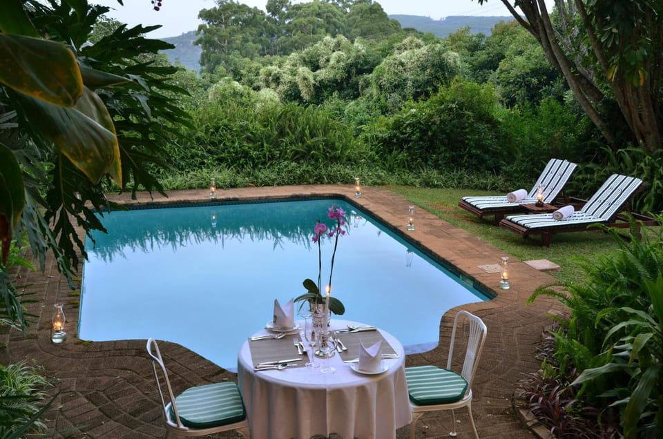 Food and drinks, Swimming pool
