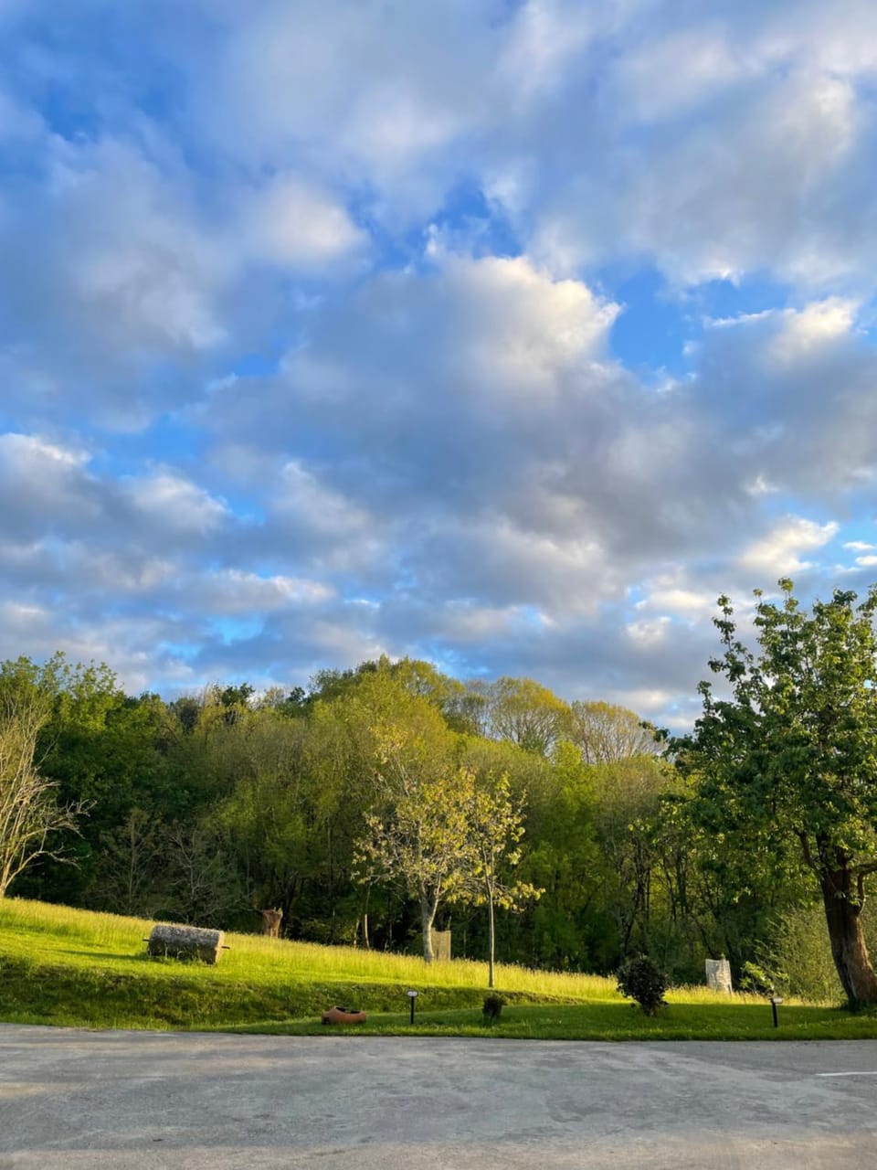 Natural landscape