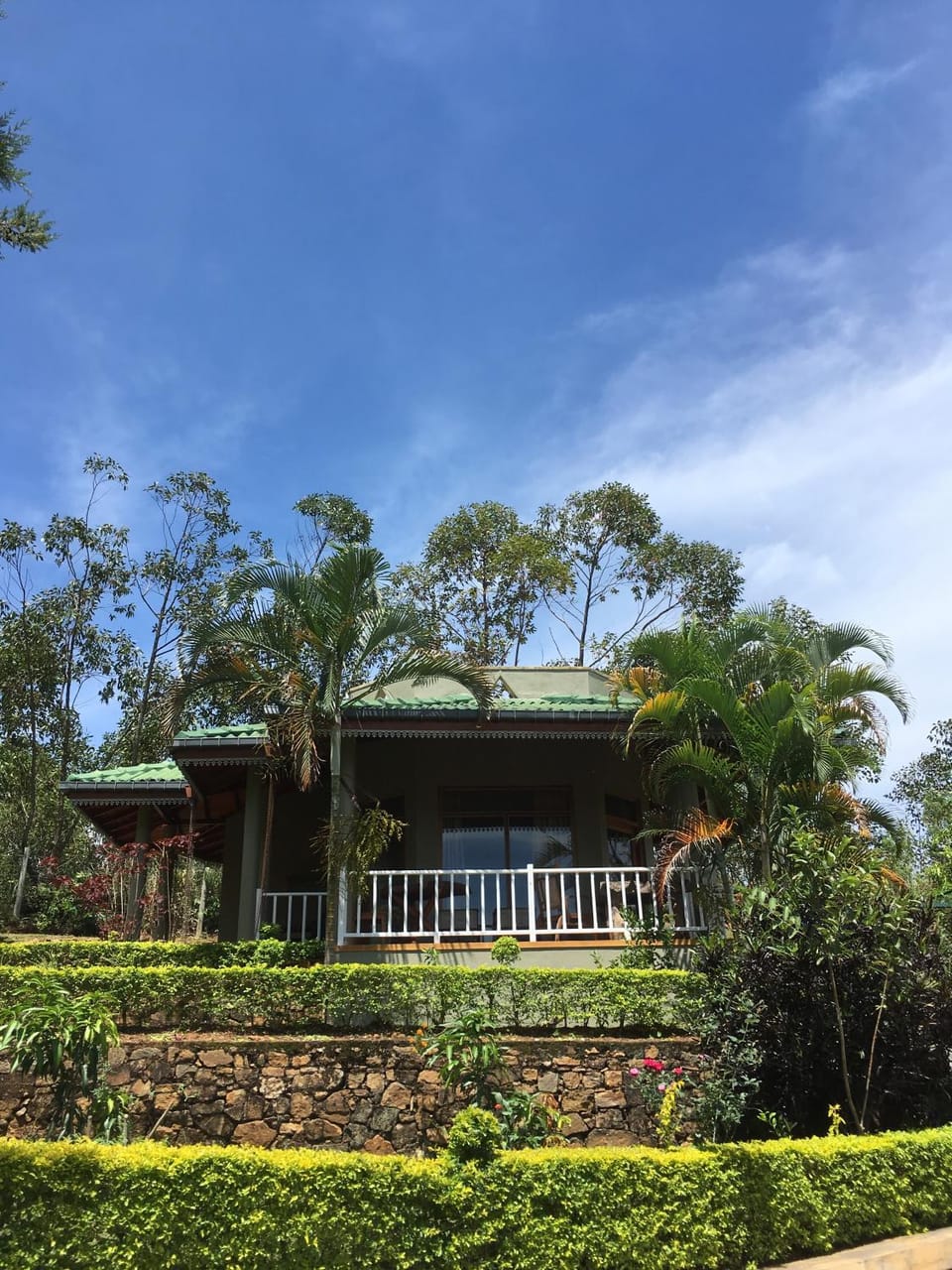Natural landscape, View (from property/room), Garden view