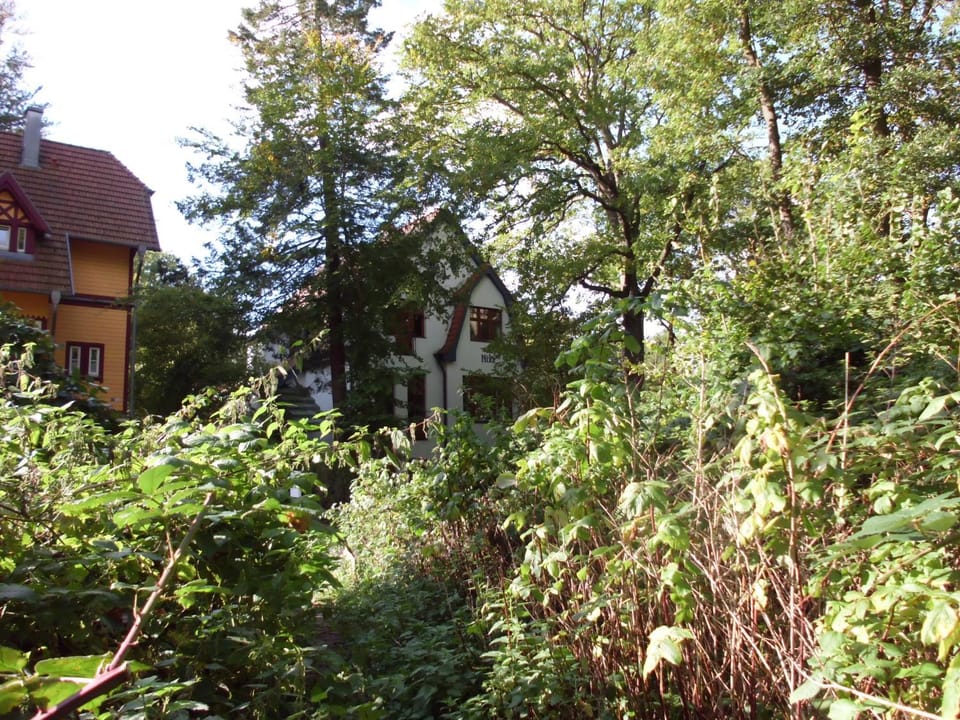 Property building, Natural landscape