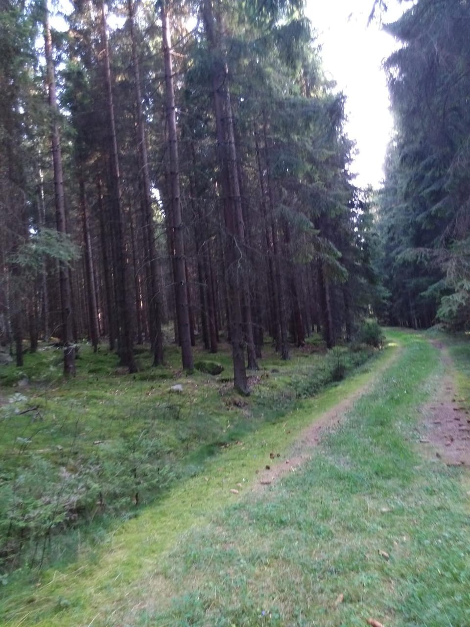 Hotel Sonnenhof Hotel in South Bohemian Region