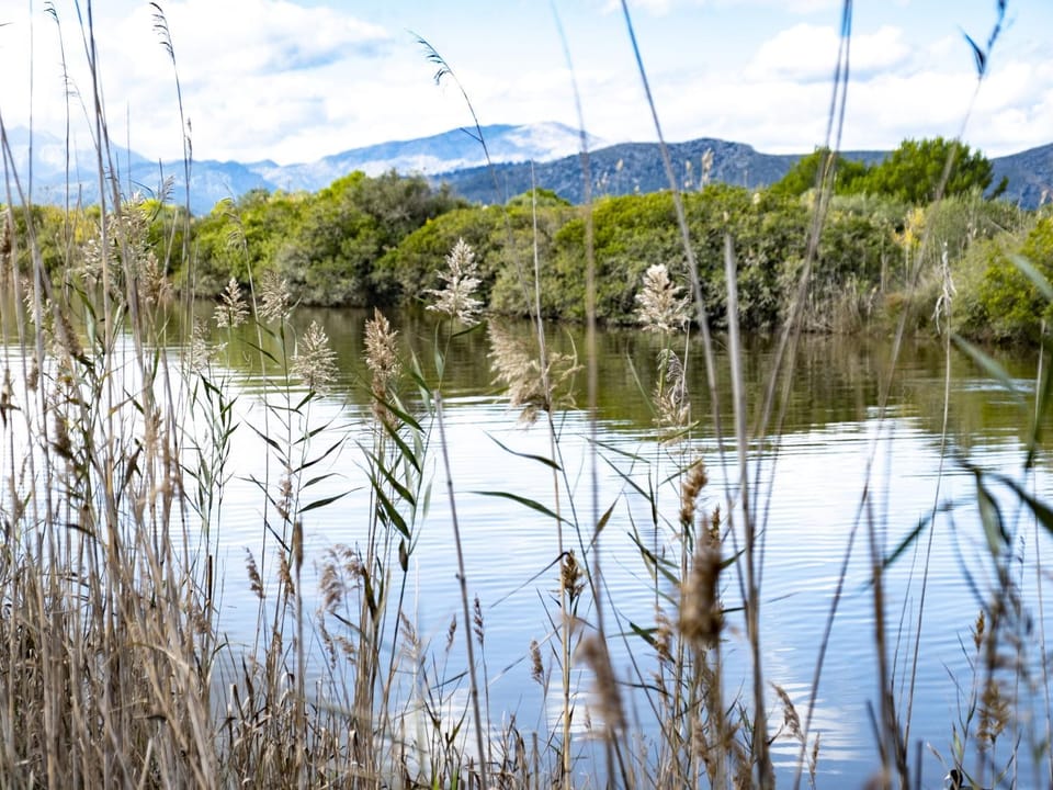 Natural landscape