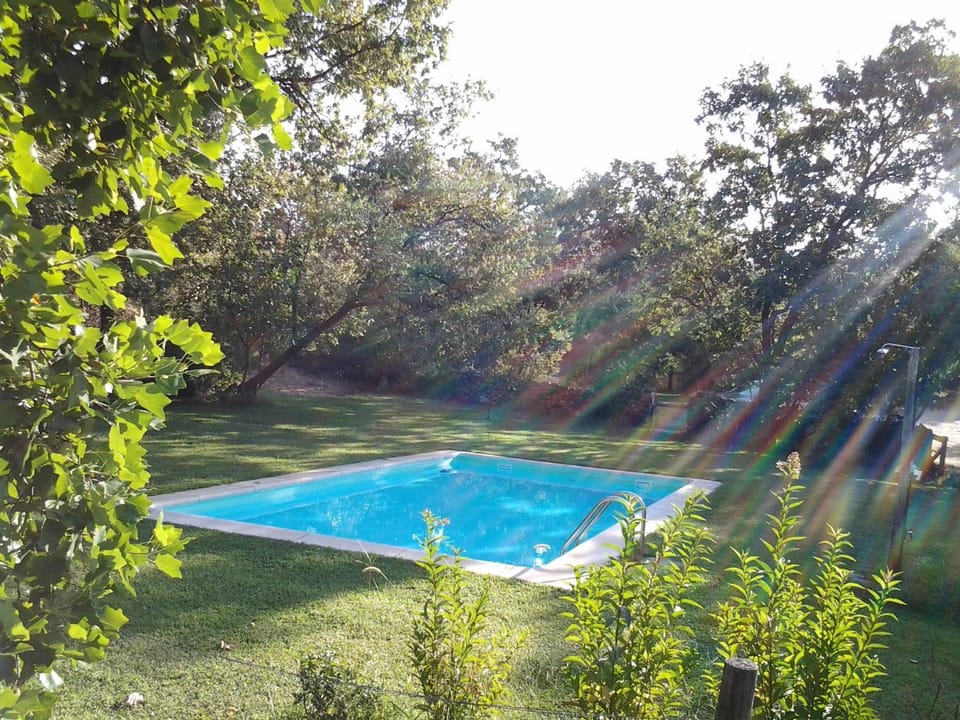 Swimming pool, Swimming pool, Sports