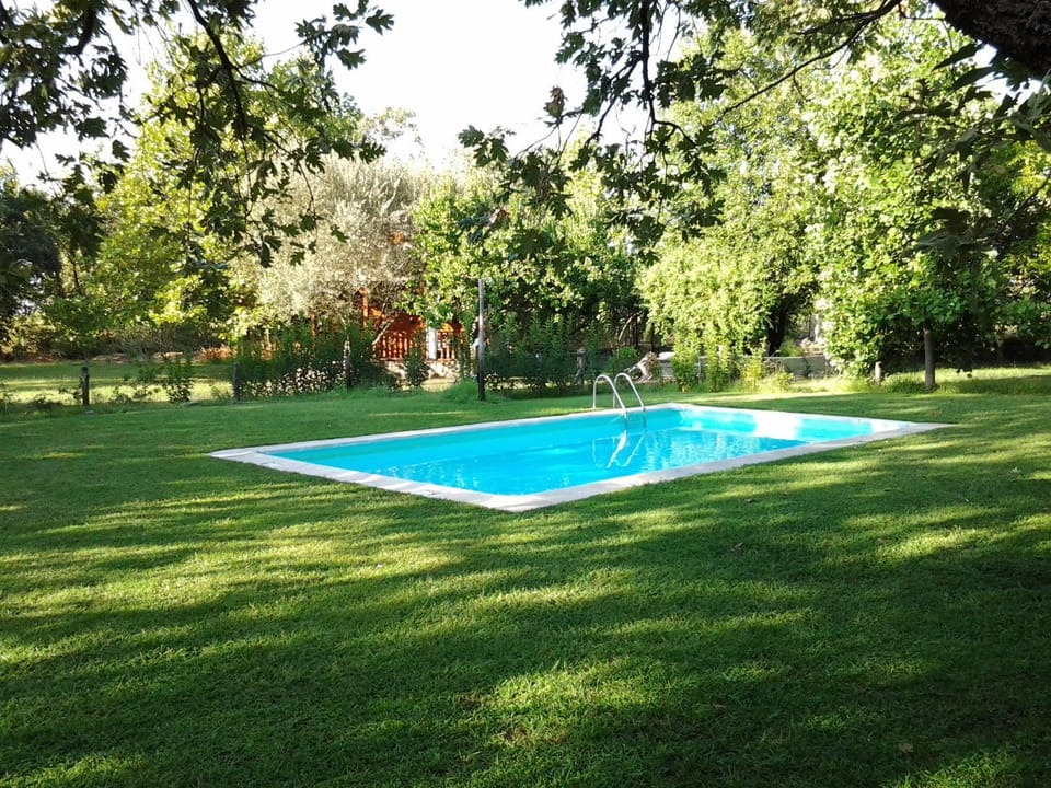 Swimming pool, Swimming pool, Sports