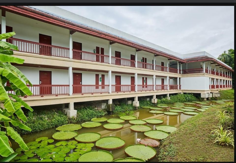 Property building, Garden view