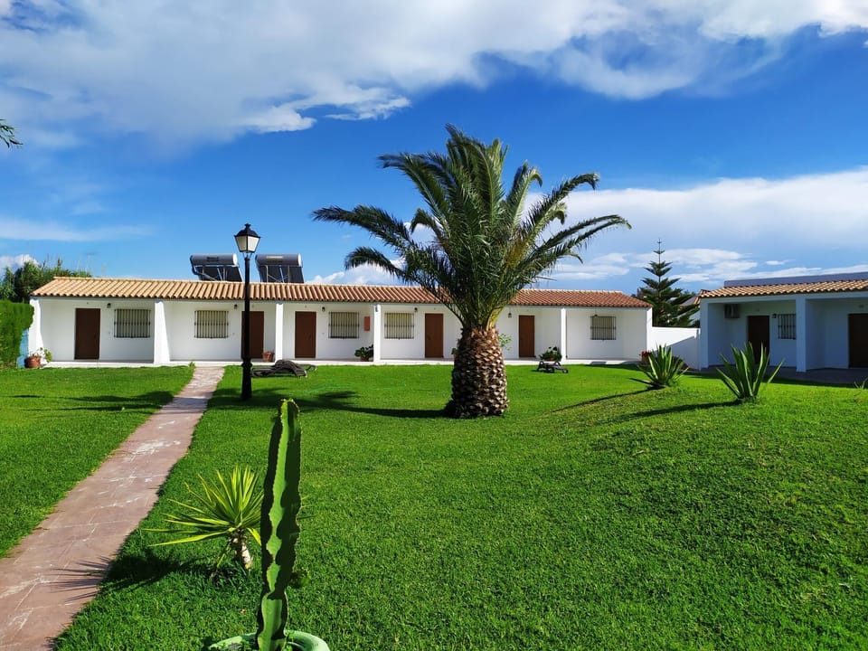 Property building, Facade/entrance, Garden