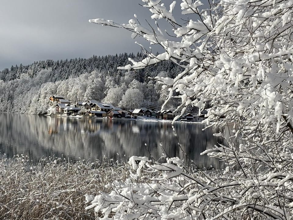 Fleur d'eau Apartment in Canton of Vaud