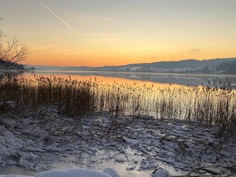 Fleur d'eau Apartment in Canton of Vaud