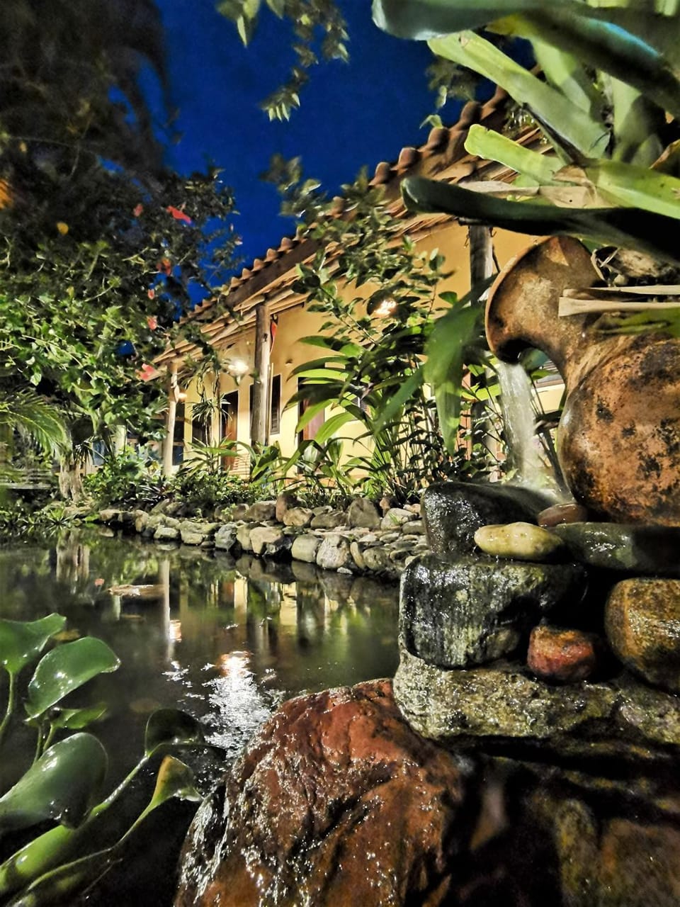 Night, Natural landscape, Garden