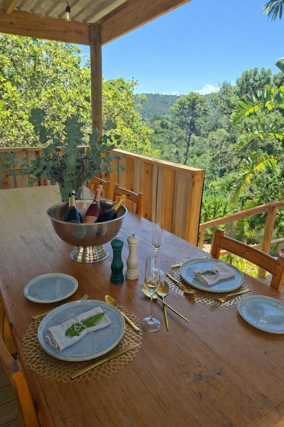 Forest Nature Spa Bed and Breakfast in Eastern Cape