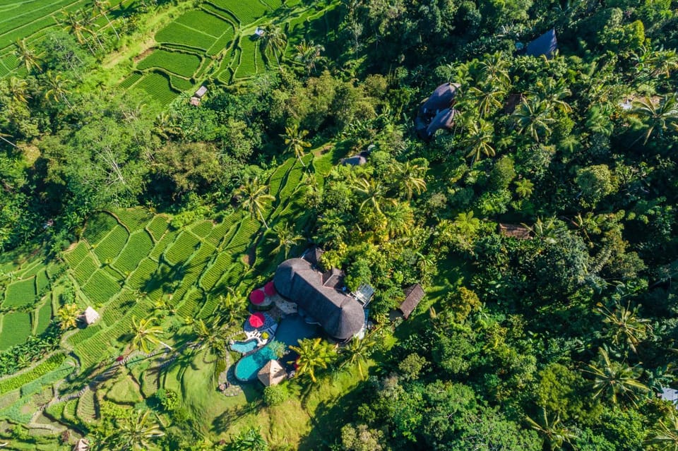 Bird's eye view, View (from property/room)