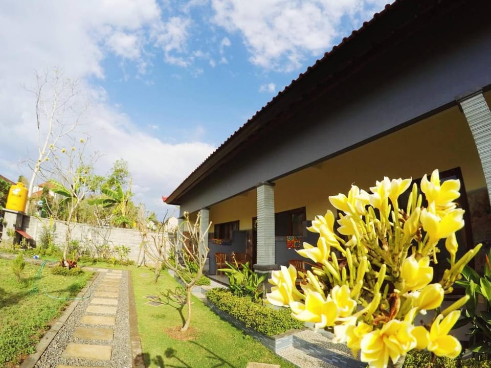 Garden, Balcony/Terrace