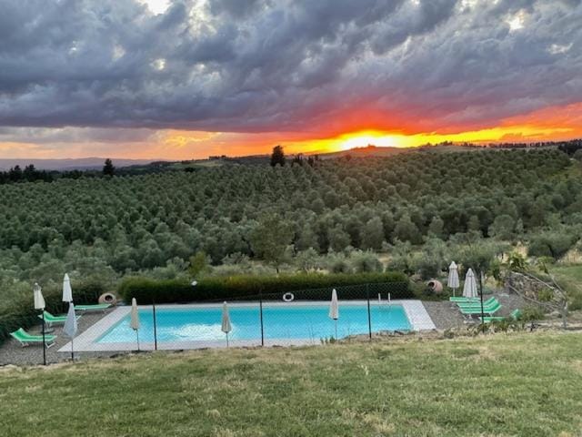 View (from property/room), Pool view, Swimming pool, Sunset
