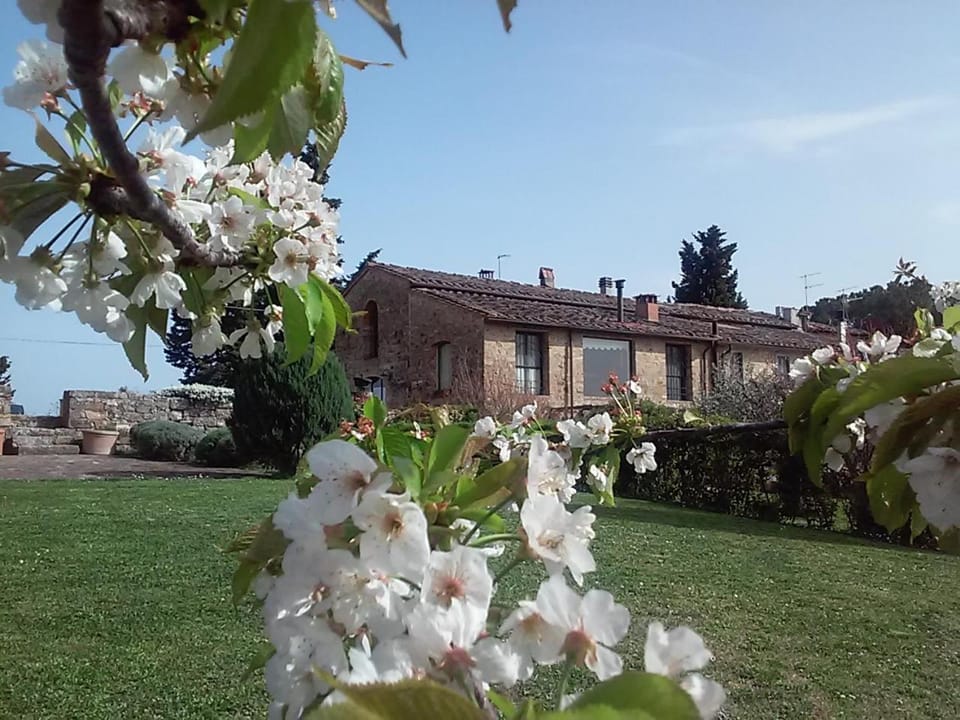 Property building, Garden view