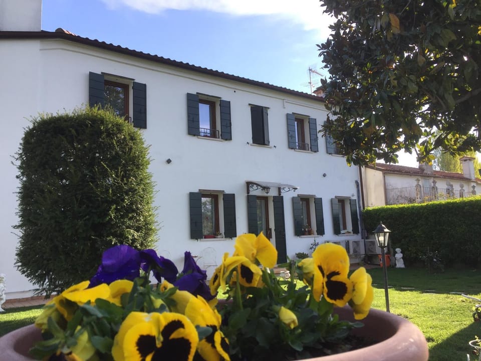 Property building, Facade/entrance, Garden