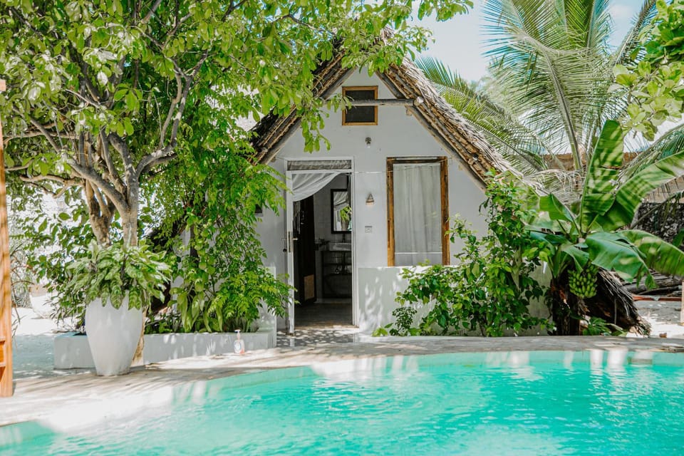 Day, Garden view, Pool view, Swimming pool