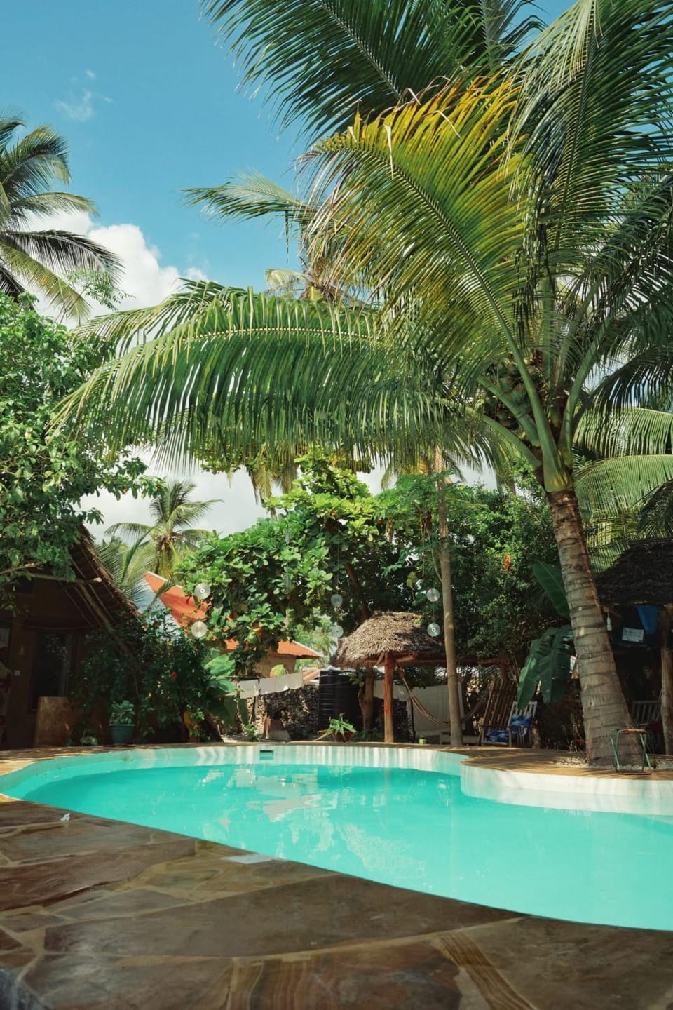 Garden, Garden view, Pool view, Swimming pool, Swimming pool
