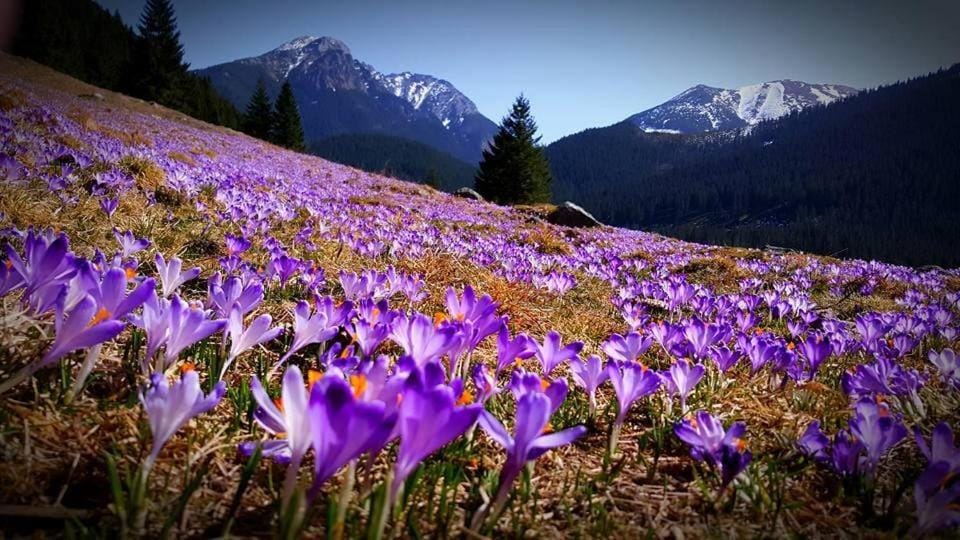 Natural landscape, Hiking