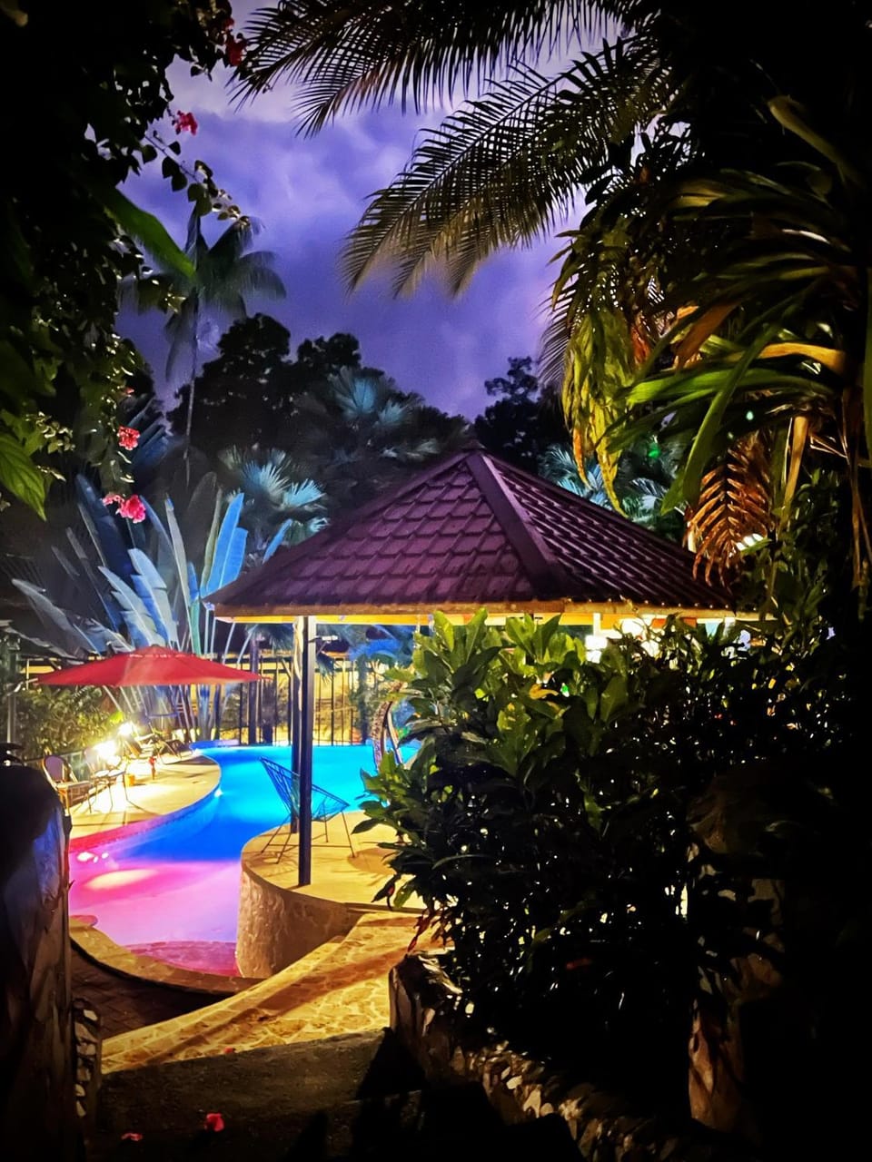 Night, Pool view