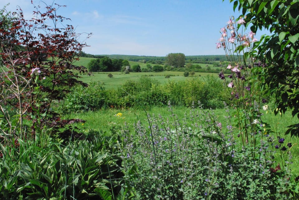 Spring, Garden, Garden view