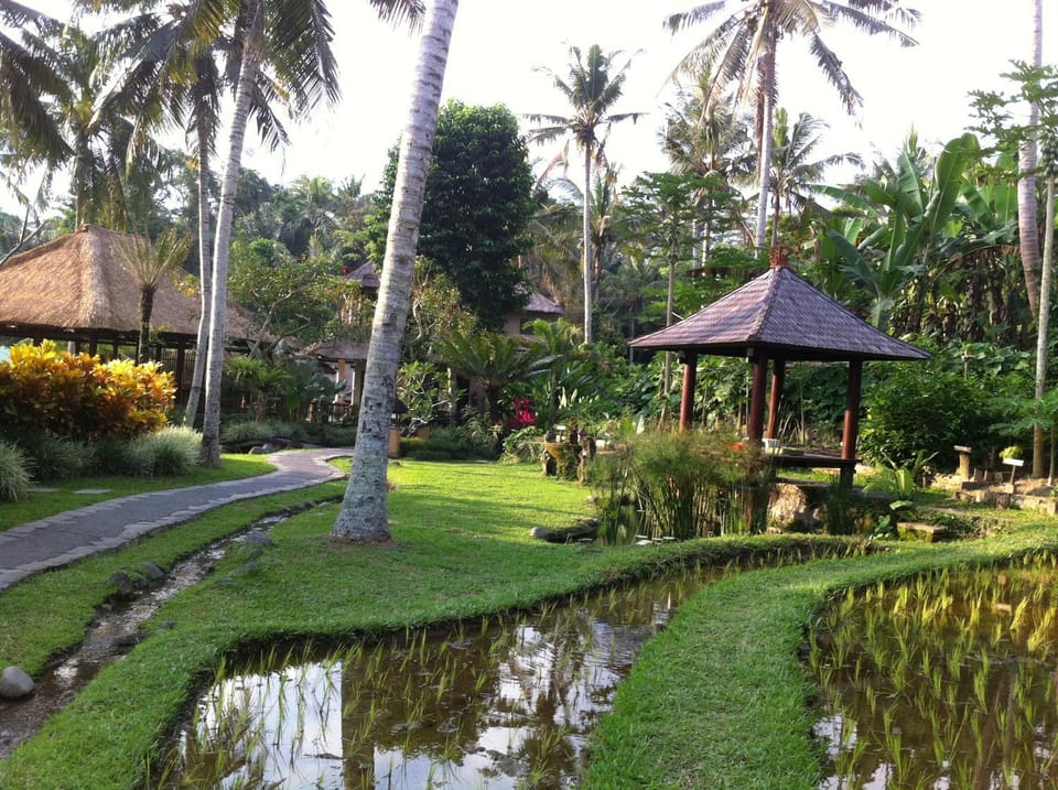 Garden, On site