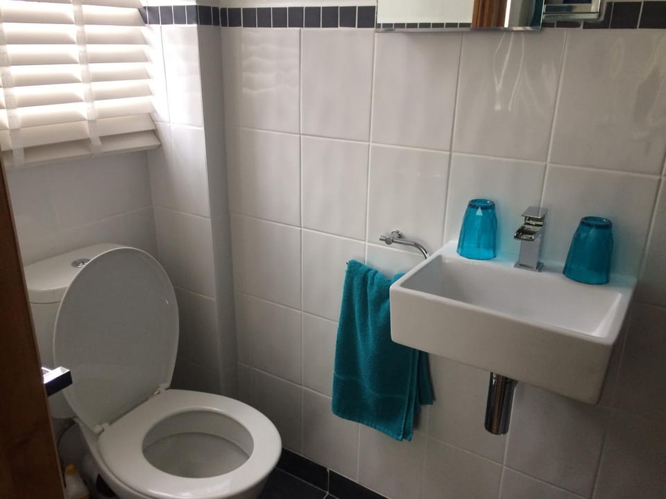 Shower, Toilet