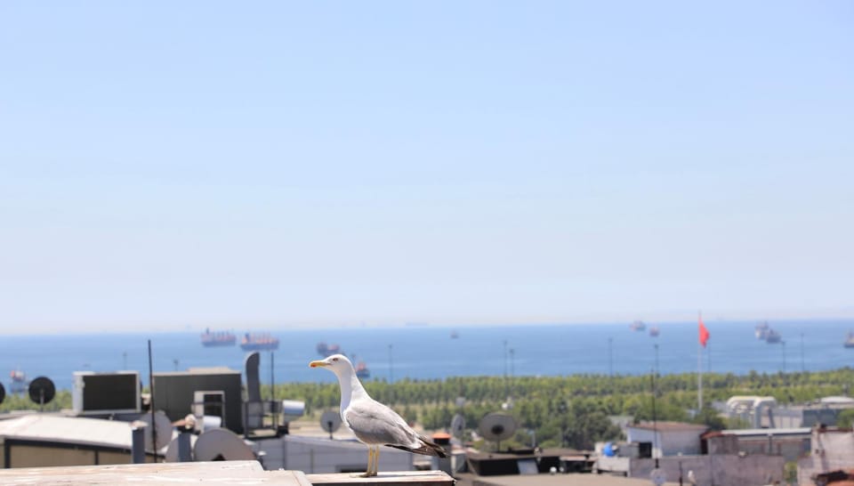 Balcony/Terrace, Sea view
