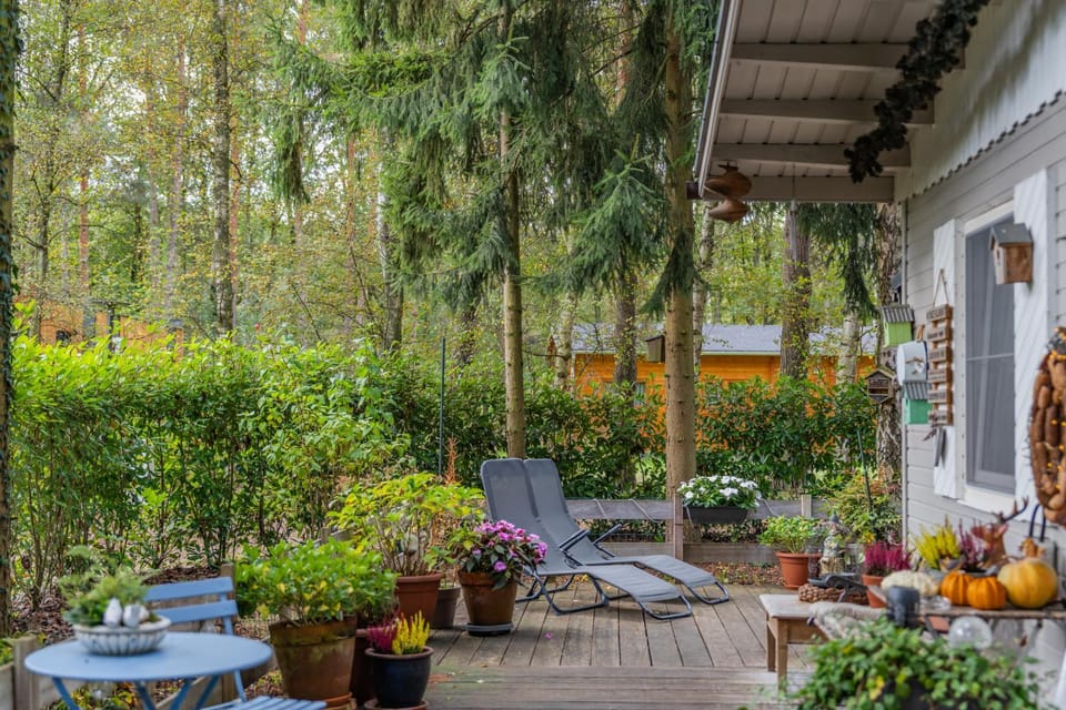 Patio, Spring, Day, Garden, Garden view