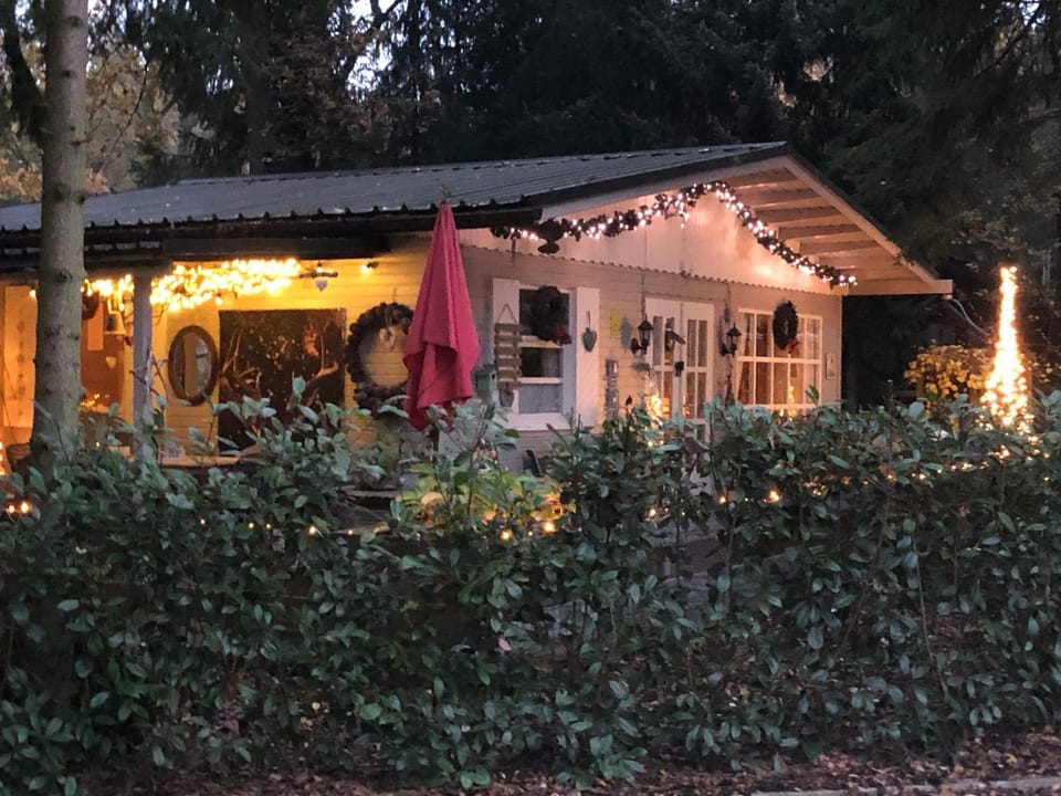 Property building, Night, Garden view