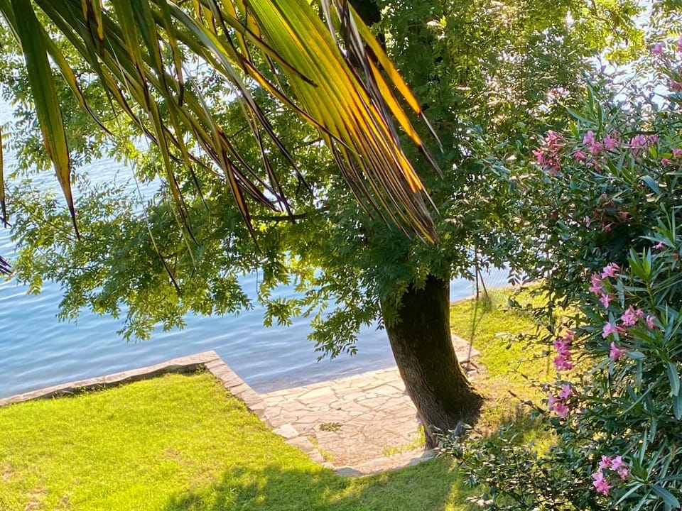 Natural landscape, Beach, Lake view